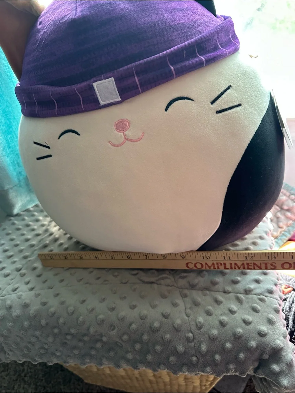 Squishmallows Calico Cat Plush with Purple Hat